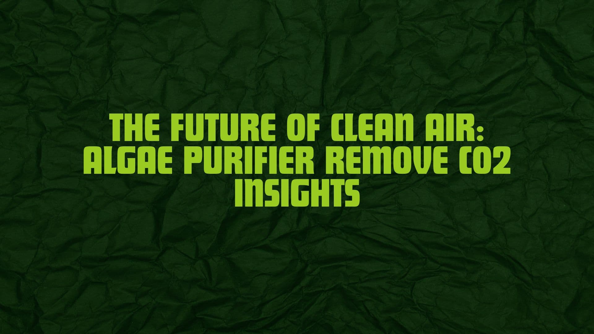 The Future of Clean Air: Algae Purifier Remove CO2 Insights