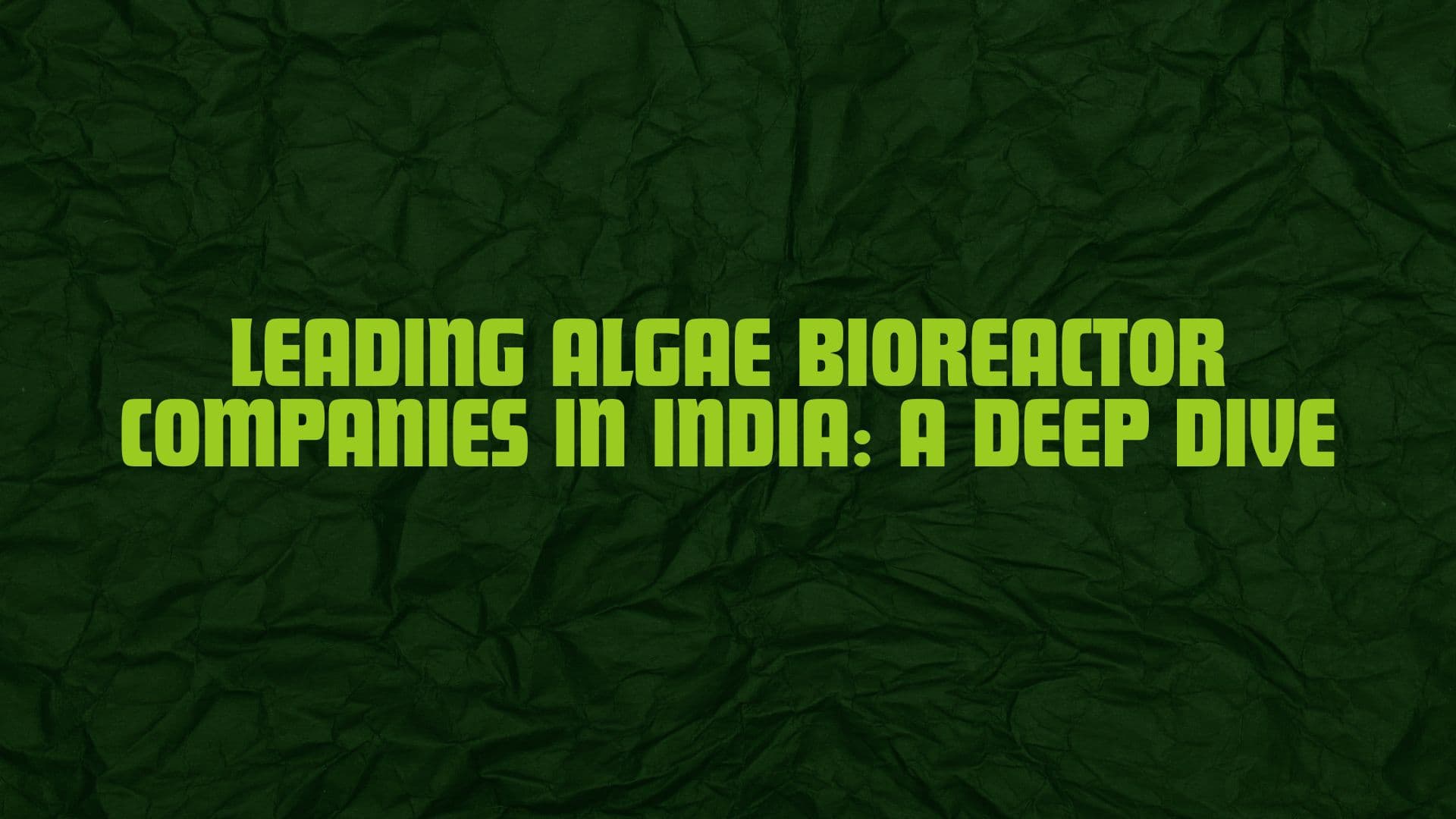 Leading Algae Bioreactor Companies in India: A Deep Dive