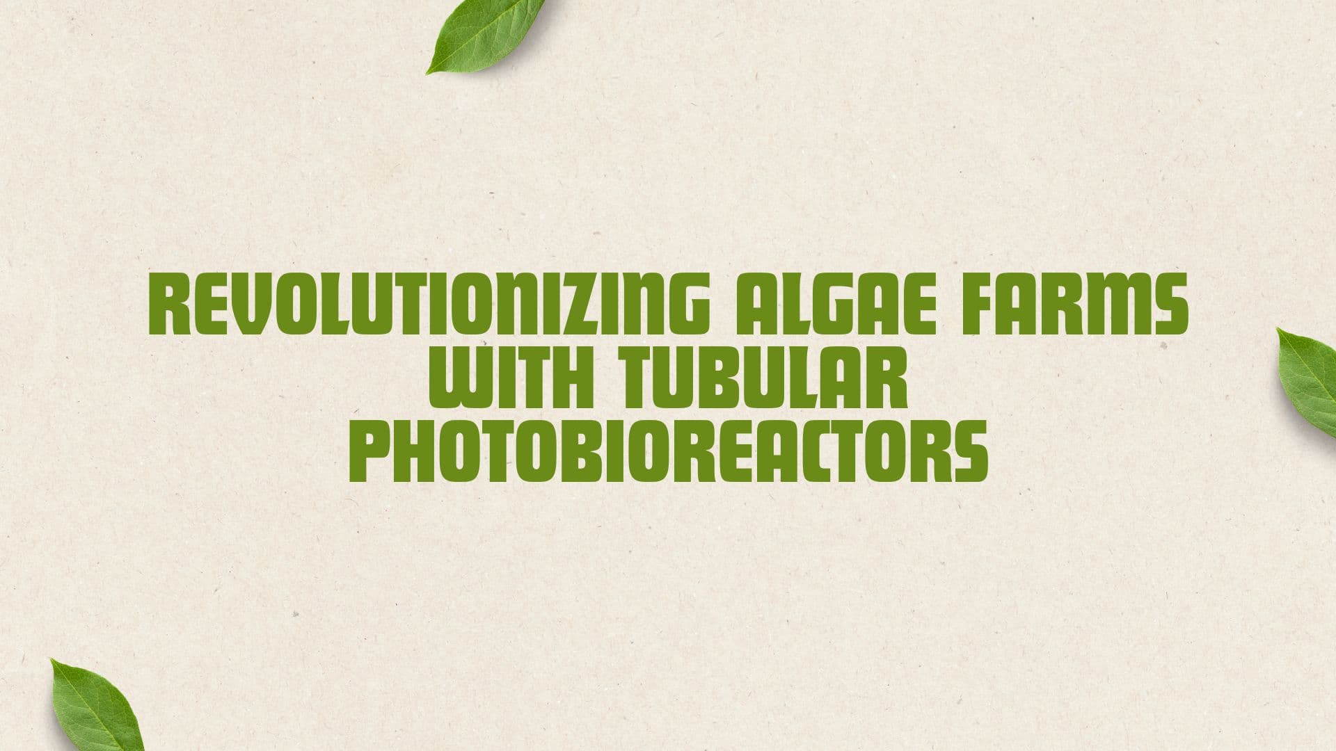 Revolutionizing Algae Farms with Tubular Photobioreactors