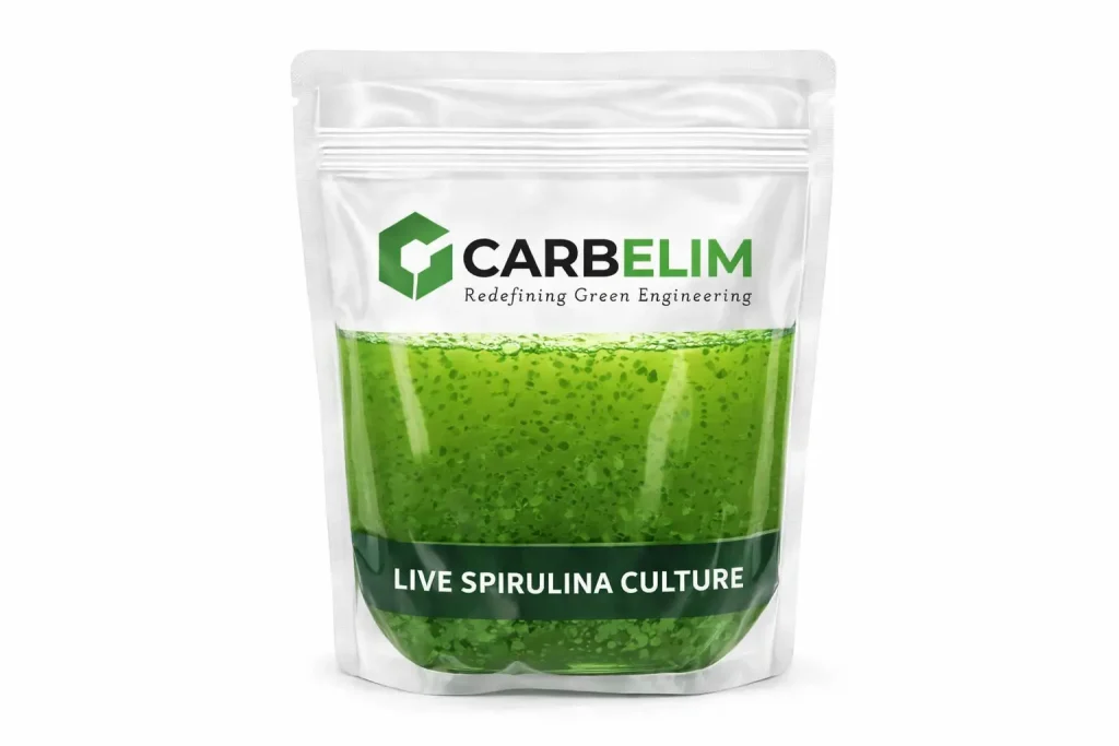 Spirulina Culture Suppliers in India