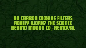 Do Carbon Dioxide Filters Really Work Hero Image 1 1536x864 1