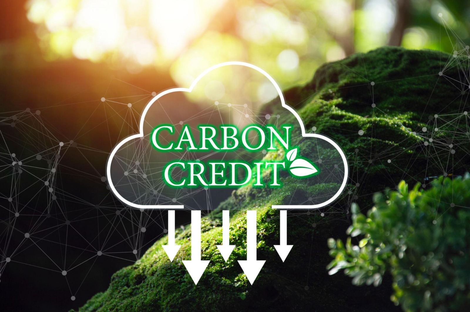 Carbon Credits Explained: How Carbon Capture Creates New Revenue Streams 1 carbon credits concept with CO2 capture and green technology converting emissions into sustainable revenue