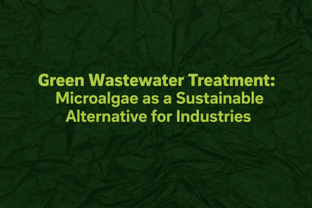 Green wastewater treatment concept highlighting microalgae as a sustainable industrial solution