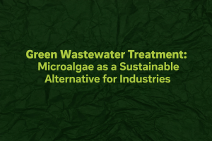 Green wastewater treatment concept highlighting microalgae as a sustainable industrial solution