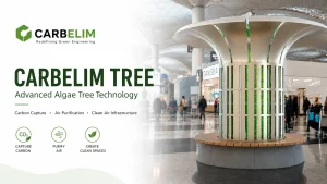 carbelim tree blog 100kb